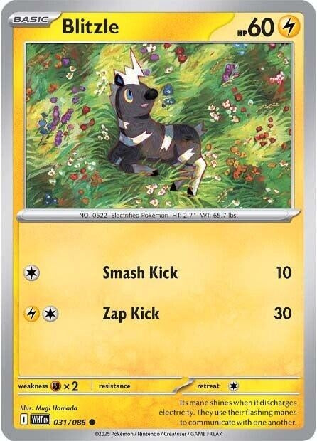 Image for Blitzle (031/086) (SV: White Flare) - Pokemon