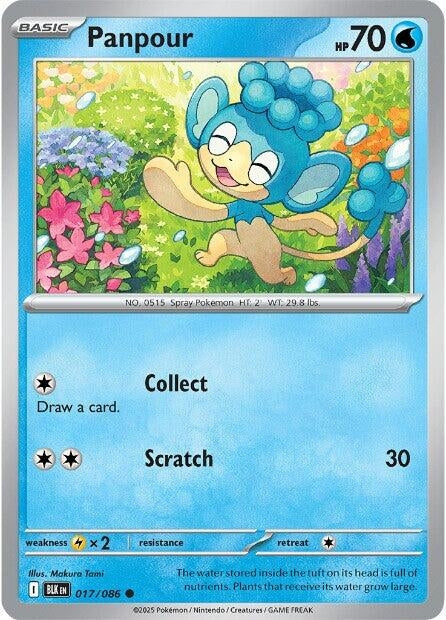 Image for Panpour (017/086) (SV: Black Bolt) - Pokemon