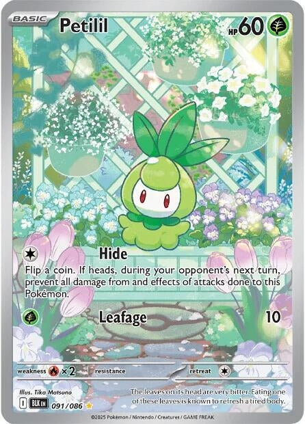Image for Petilil (091/086) (SV: Black Bolt) - Pokemon