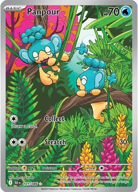 Image for Panpour (101/086) (SV: Black Bolt) - Pokemon